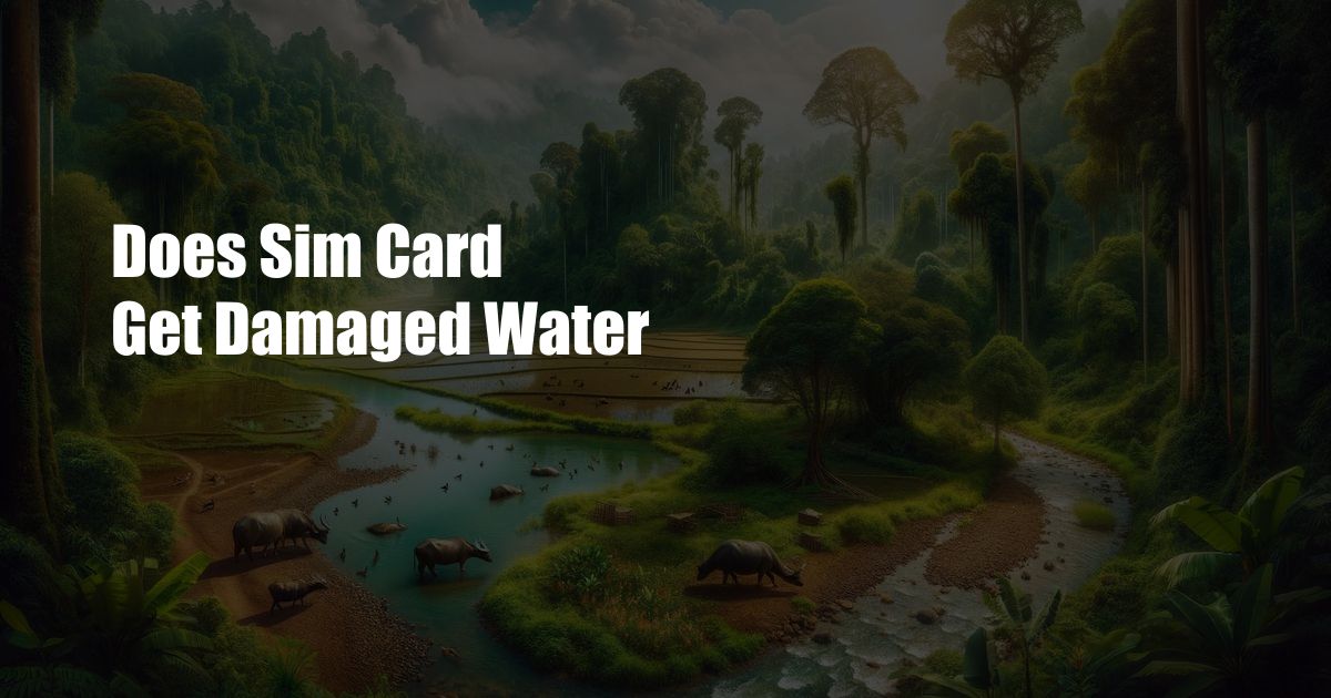 Does Sim Card Get Damaged Water