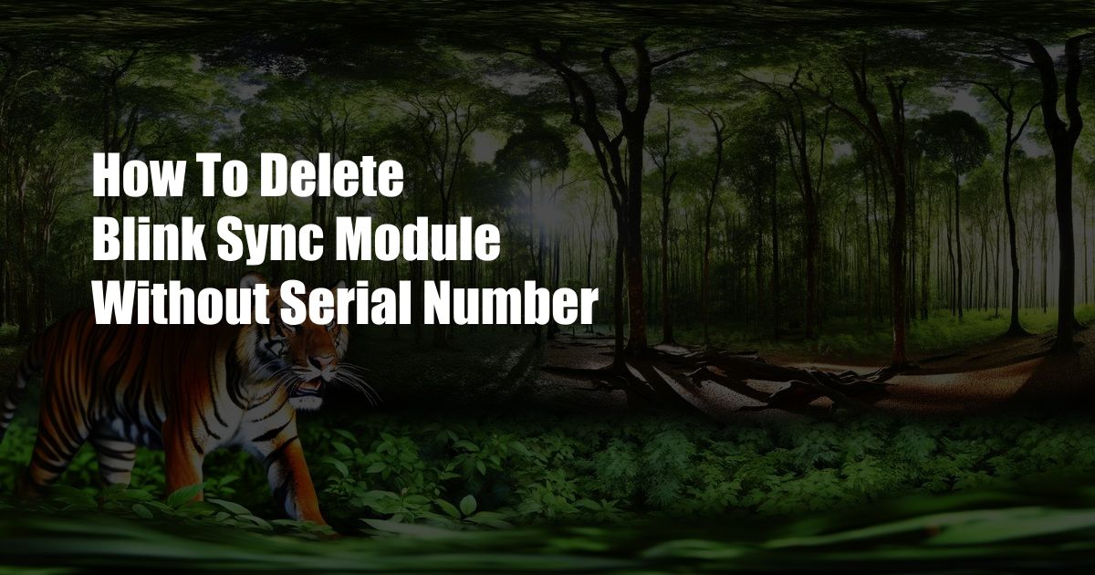 How To Delete Blink Sync Module Without Serial Number
