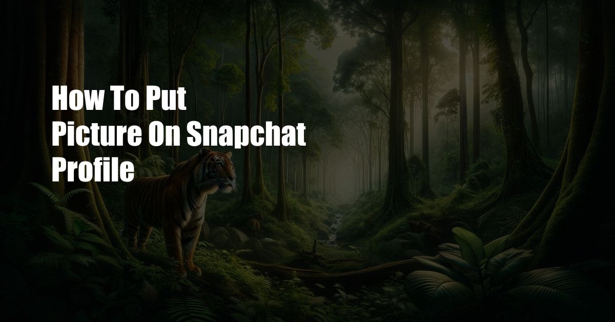 How To Put Picture On Snapchat Profile