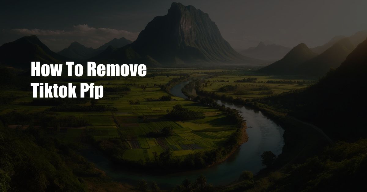 How To Remove Tiktok Pfp