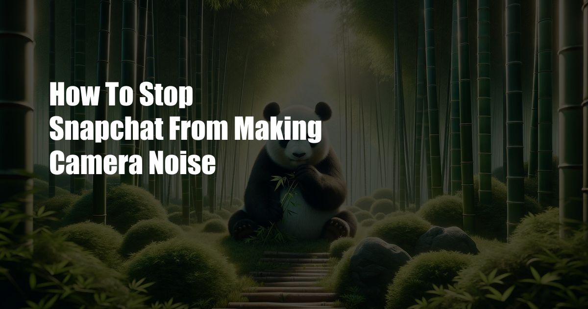 How To Stop Snapchat From Making Camera Noise
