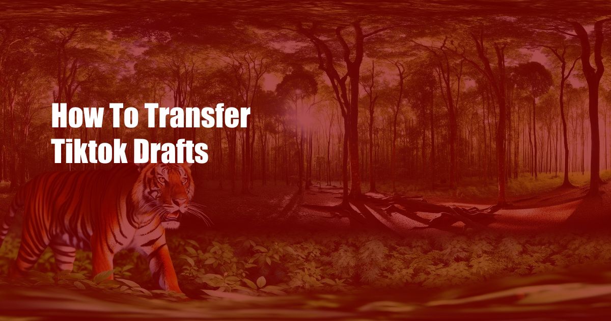 How To Transfer Tiktok Drafts