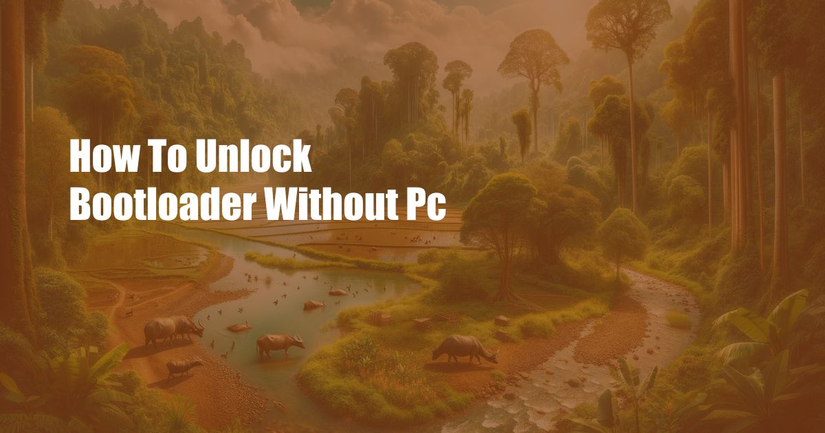How To Unlock Bootloader Without Pc