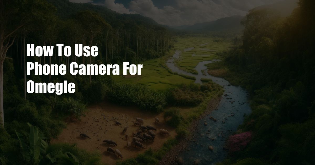 How To Use Phone Camera For Omegle