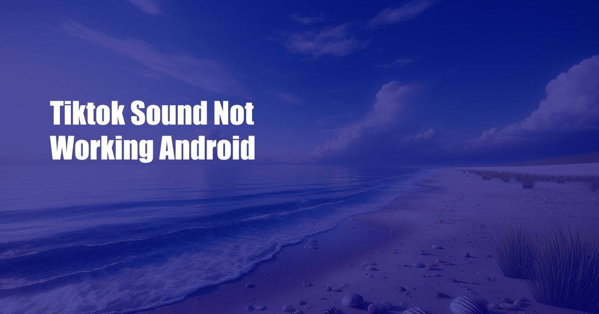 Tiktok Sound Not Working Android